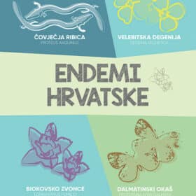 Bilježnica Biologija tvrdi uvez A4/D KARBON s memom 96 L