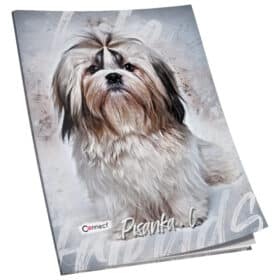 Pisanka C za 2 i 3razred Premium Connect Girl