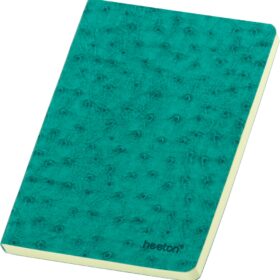 Organizer Fashion B5 - na crte, različite boje