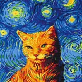 Mačka u zvjezdanoj noći, set za slikanje po brojevima 50 x 40 cm