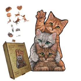 Drvene puzzle u drvenoj kutiji mace