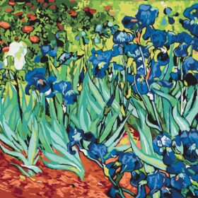 Irisi Van Gogh Set za slikanje po brojevima 50 x 40 cm