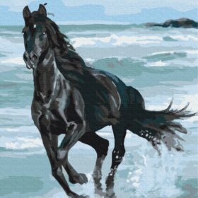 slikanje po brojevima 40x50 Black horse sa drvenim okvirom i setom za slikanje