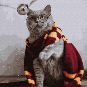 Mačka Harry Potter / Slikanje po brojevima 50 x 40 cm