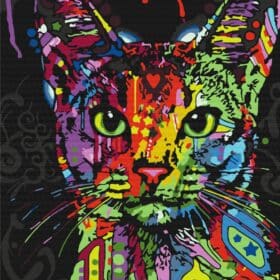 Slikanje po brojevima 50x40 Abyssinian cat sa drvenim okvirom i setom za slikanje