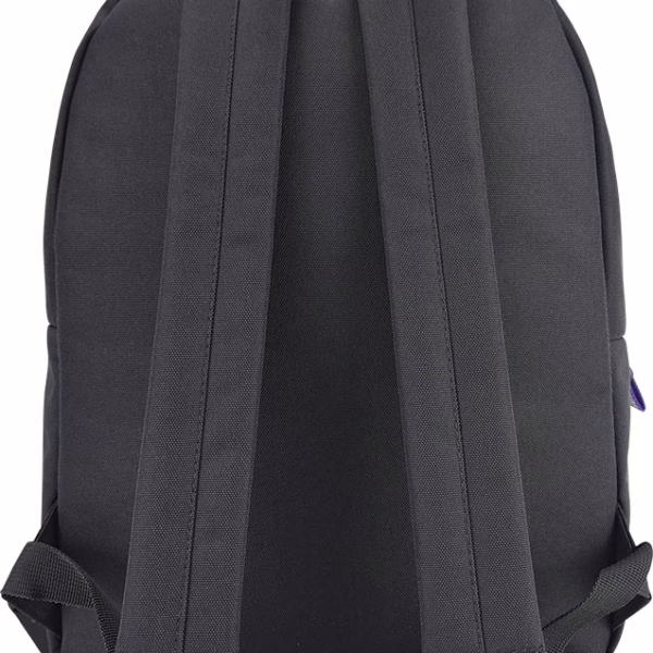 ruksak karbon 2 zip grey girl p20